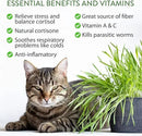 HOME GROWN 2,160+ Cat Plant Seeds Mix – 𝗡𝗢𝗡-𝗚𝗠𝗢 𝗨𝗦𝗔-𝗦𝗢𝗨𝗥𝗖𝗘𝗗 Heirloom Catnip, Lemongrass, Licorice, Thyme & Valerian – Pet-Friendly Indoor Garden Refill Kit for Cats & Kittens by GreenHaven Gardens