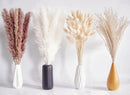 100 PCS Dried Flowers Pampas Grass Bouquet, Boho Table Decor, Bunny Tails Dried Flowers, Brown Pompas, White Pampas Grass for Wedding, Home, Rustic Party, Baby Shower Decorations by CozyNest Decor