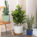 ZMTECH Set of 6 Self Watering Plastic Plant Pots, 6.5in Diameter x 6.1in Height, Modern Decorative Flower Pots for Indoor Outdoor House Plants, Succulents, Flowers (White+Green+Blue) by GreenHaven Gardens