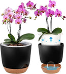 Self Watering Orchid Pots for Indoor Plants,5.8 Inch Macetas para Orqudeas,Flower Pots for Indoor Plants with Holes(Black) by GreenHaven Gardens