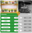 Wiaxulay LED Plant Grow Light Strips, 6000K Full Spectrum Grow Lights for Indoor Plants, Sunlike Growing Lamp with 6/12/16H Timer, 5 Dimmable Levels for Hydroponics Succulent, Plant Shelf, 2 Pack by GreenHaven Gardens
