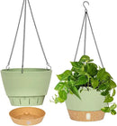 QCQHDU 2 Pack Hanging Planters for Indoor Outdoor Plants, 10 Inch Hanging Baskets Flower Pots with Reservoir Tray & Visible Water-Level by GreenHaven Gardens