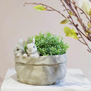 Newman House Studio Spring Bunny Flower Pot Easter-Decor - Decorative Garden Pots Cactus-Succulents Bunny Flower Pots Indoor Outdoor Plant Pots for Home Farmhouse Décor 7.5 * 7.4 * 6.1 Inch by GreenHaven Gardens