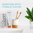 Himalaya Botanique Original Neem & Pomegranate Botanical Toothpaste, Fights Plaque, Brightens Teeth, Fluoride Free, No Artificial Flavors, SLS Free, Cruelty Free, Foaming, Mint Flavor, 5.29 Oz, 2 Pack by CozyNest Decor