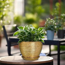 Indoor Plant Pot 6 Inch - Ceramic Pot for Plants Outdoor Planter with Drainage Hole and Saucer Round Decorative Planter Modern Flower Pot for Home Decor Gold by GreenHaven Gardens