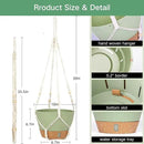 QCQHDU 2 Pack Hanging Planters for Indoor Plants, Outdoor Flower Hanging Baskets, Self Watering Pots with Drainage Holes & Removable Tray (Green, 10 inch, Macrame Hanger) by GreenHaven Gardens