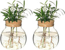 Plant Propagation Station,Hydroponic Terrarium Vase,Desktop Glass Planter Station,for Houses,Garden Decorations,ropagating Hydroponic Plants,Centerpiece Office,Home Garden Decor (2) by GreenHaven Gardens