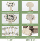 15pcs Funny Plant Signs Garden Markers Wooden Plant Labels Tab with Interesting Words Cute Patterns for Indoor and Outdoor Potted Used to Distinguish Potted Plants by GreenHaven Gardens