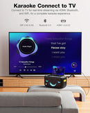 Karaoke Machine for Adults, with Lyrics Display Built-in 13.3" Screen, Truly All in One Karaoke Machine with 2 Wireless Microphone (Hidden & Self Charging), 460W Bluetooth Speaker for Party, TV by TinyTreasures Baby Boutique