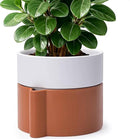 8 Inch Self-Watering Planter Pot with Terracotta Insert, Deep Water Reservoir, and Ceramic-Alike BPA-Free Plastic Planter Pot for Plant, Modern Planter for Houseplants, Terracotta/White, 53-B-T-6 by CozyNest Decor