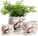 Ceramic Plant Pots with Drainage Holes and Saucers, Round Flower Pots for Indoor Plant, 3.9/5.2/6.7 Inches Small Flower Planters Set of 3 by CozyNest Decor
