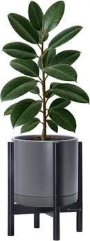 D'vine Dev Ceramic Planter with Ebony Stand - 12 Inch Modern Round Flower Pot with Wood Planter Holder, Grey, 55-B-H-3 by GreenHaven Gardens