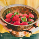 Bonnie Plants Strawberry, Live Plant, 19.3 oz. (4-Pack) by GreenHaven Gardens