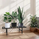 Plant Stand Indoor Outdoor, Heavy Duty Iron Pedestal Stands Metal Plant Stand for Indoor Outdoor, 1-Tier Sturdy Flower Stand Display Plant Shelf by GreenHaven Gardens