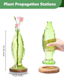 Nacome Fish Vase Glass Plant Terrarium with Wooden Stand,Plant Propagation Station for Home Office Hydroponics Desk Decoration,Unique Gardening Gifts for Plant Lovers Women Mom(Green) by CozyNest Decor
