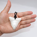 Chewy Necklace Sensory for Kids and Adults, Shark Tooth Silicone Autism Chew Toys Sensory for Boys Girls with ADHD, Anxiety, SPD, 3 Pack Chewing Necklace - BPA Free by TinyTreasures Baby Boutique