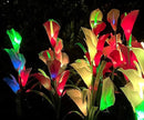 Veesee Solar Garden Lights - Outdoor Stake Lights with Calla Lily Design, Decorative for Lawn, Yard, Patio & Landscape (White, 2Pack) by GreenHaven Gardens