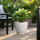 Pots for Plants 10 Inch - Ceramic Planter Large Plant Pot for Indoor Plants Outdoor Round Flower Pot with Drainage Hole and Saucer Home Garden Decor White by GreenHaven Gardens
