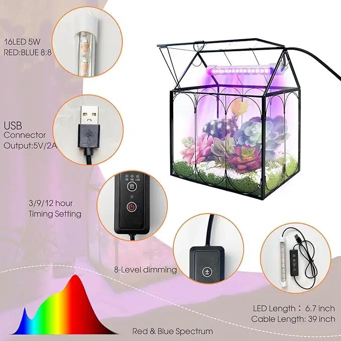 Plant Terrarium with Grow Light, Rifny Indoor House Shape Glass Terrarium Kit with Lid, Small Terrarium Jar Planter for Venus Fly Trap Succulent Live Air Plants Decor for Home Office (Without Plants), photo 4 of 8