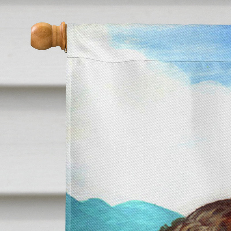 Sussex Spaniel Flag Canvas House Size