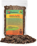 Premium Snake Plant Potting Soil Mix, Green Sansevieria Trifascatia Zeylanica Plants, Plant or Re-Pot Your Snake Plant - (5 Quart Bag) by GreenHaven Gardens