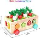 Toddlers Montessori Wooden Educational Toys for Baby Boys Girls Age 1 2 3 Year Old, Shape Sorting Toys 1st One First Birthday Girl Gifts for Kids 1-3, Wood Preschool Learning Fine Motor Skills Game by TinyTreasures Baby Boutique