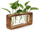 Glass Plant Propagation Station with 5 Test Tubes Planter Vase with Wooden Stand Birthday Gifts for Women Mom Plant Lovers by GreenHaven Gardens