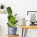 10inch Retro Ceramic Planter with Drainage Hole and Saucer for Multiple Plants, Indoor-Outdoor Garden Pots for Succulent, Orchid, and Flower (Fits Inner Pots Up to 9 Inch, Retro Purple) by CozyNest Decor
