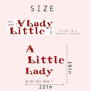 A Little Lady Is On Her Way Decal - Ladybug Party Decorations Supplies Wall Stickers, Girls Birthday/Baby Shower Party Decor Wall Decals, Balloon Arch Backdrop Decoration Ladybug Sign Stickers by TinyTreasures Baby Boutique