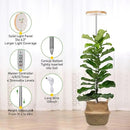 LORDEM Bamboo Grow Light for Indoor Plants,Full Spectrum LED Plant Grow Light, Height Adjustable Growing Lamp with Auto Timer 4H/8H/12H, 4 Dimmable Levels, Ideal for Large Tall Plants by GreenHaven Gardens
