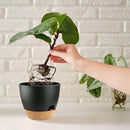 Self Watering Plants Pot with Drainage Hole, Flower Plants Pots for Indoor & Outdoor, Black Plastic Self Watering Planters Succulent Pot 5pcs/Set by GreenHaven Gardens