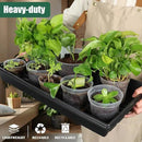 Seed Starter Kit - 10 Pack 1020 Seed Trays with 2 Seedling Heat Mats for Plants (10"x20.5"), Complete Seed Germination Kit for Indoor Gardening, Greenhouse Accessories by GreenHaven Gardens