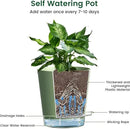 4 inch Self Watering Pots for Indoor Plants, 5 Pack Small Flower Plant Pots with Drainage Holes and Clear Reservoirs, Visible Water Level, Plastic Planters with Wicking Rope, Green by CozyNest Decor