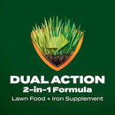 Scotts Liquid Green Max Lawn Food: 2,000 sq. ft., 2-in-1 Fertilizer and Iron Supplement, Use on Any Grass Type, 32 oz. by GreenHaven Gardens