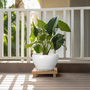 Ceramic Planter for Indoor Plants - 11 Inch Plant Pot with Drainage Hole and Saucer Decorative Round Large Planter Pot for Plants Outdoor Flower Pot for Garden White