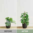 2 Pack 28'' Bendable Moss Pole Monstera Plant Support for Climbing Indoor Plants - Stakes for Potted Climbers - Tall Sticks Indoor Trellis for Houseplants - Accessories for Monstera Pot by GreenHaven Gardens
