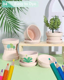 vensovo 4.5 Inch Pink Terracotta Shallow Succulent Pots - 6 Pack Terra Cotta Clay Pot with Saucer, Cacuts Indoor and Outdoor Planters with Drainage Hole by GreenHaven Gardens