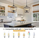 4 Light Chandelier, Industrial Ceiling Light Black Lantern Light Fixtures with Farmhouse Metal Cage Adjustable Height Rustic Geometric Hanging Light E12 Base for Kitchen Island, Entryway, Indoor by CozyNest Decor