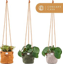 Waxed Canvas Handmade Hanging Planter for Indoor/Outdoor Plants, Hanging Basket Plant Holder Dijon Yellow by GreenHaven Gardens