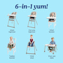 Graco Table2Table LX 6-in-1 Highchair, Willow with Infant Head Support & One-Hand Removable Tray by TinyTreasures Baby Boutique