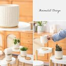 TAMAYKIM 4 Inch Ceramic Plant Pots with Drainage Holes, Modern Flower Planter with Saucer for Indoor Plants, Succulent, Cactus & Herbs, Beige, Set of 4 (Plants Not Included) by CozyNest Decor