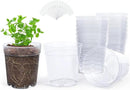 homenote Clear Nursery Pots for Plants,7 Inch Plant Pot for Planting Plastic Seedling with Drainage Holes Seed Starter Flower High Transparency with 20 Labels (15 Pack) by GreenHaven Gardens