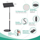 LBW Grow Lights for Indoor Plants Full Spectrum, 214 LEDs Plant Lights for Indoor Growing, Desk Plant Grow Lights Indoor with Timer 4/8/12H, 6 Dimmable Levels, Plant Lamp Height Adjustable 10"-26" by GreenHaven Gardens
