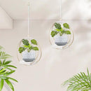 2 Pack Hanging Planter Holder for Indoor Plants, Plant Hanger with Sturdy Wood Base,Modern Boho Macrame Wall Ceiling Window Stands(Plants/Pots Not Included) by GreenHaven Gardens
