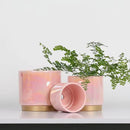 Gepege Pink Indoor Plant Pots for Plants, Ceramic Planter with Drainage Hole, 6.0 inch+5.0 Inch+4.0 Inch. Succulent Orchid Flower Pot - Rainbow Pearl Glaze by GreenHaven Gardens