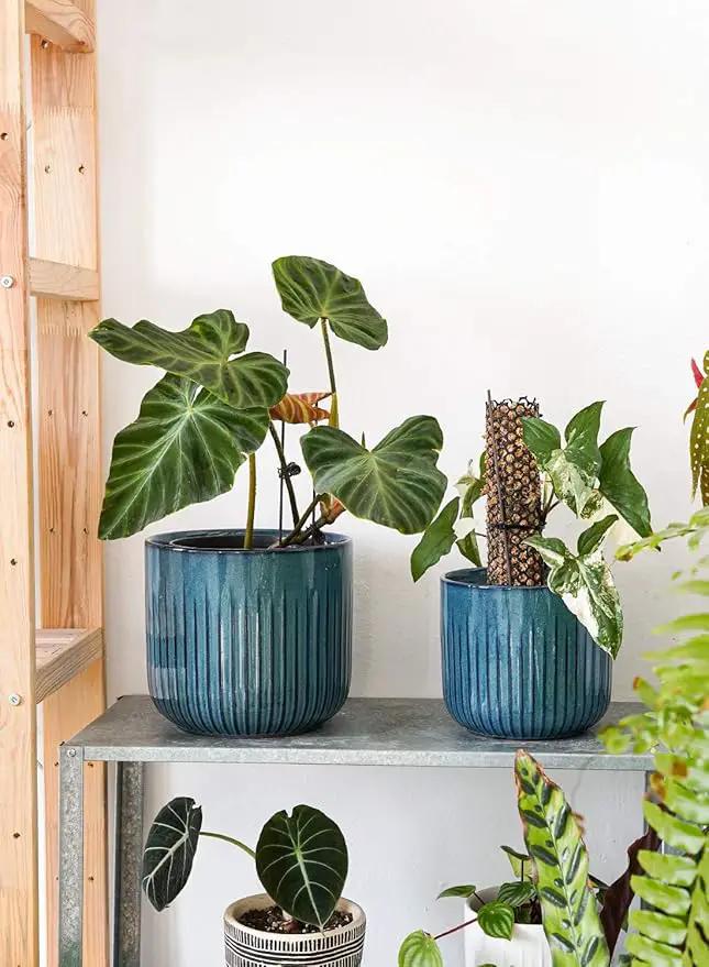 LE TAUCI Ceramic Pots for Plants, 8.3+6.9+5.7 inch Plant Pots Indoor, Flower Pots with Drainage Holes, Medium Cylinder Planters Pot for Indoor House Plants, Set of 3, Glaze Ocean Blue, photo 7 of 9