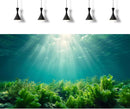 Deep Ocean Fish Tank Background Under The Sea Aquatic Plants Aquarium Background Underwater Corals Sunray Terrarium Backgrounds Tropical Fish Ocean World Aquarium Backgrounds Decorations 48x24in by GreenHaven Gardens