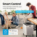 Coway Airmega 300S App-Enabled Smart Air Purifier (Covers 1,256 sq. ft.), True HEPA Air Purifier with Smart Technology, Compatible with Amazon Alexa by TinyTreasures Baby Boutique
