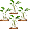 4 Pack Plant Propagation Station with Wooden Base Glass Terrariums for Indoor Plants Decorative Round Vases for Flowers Hydroponic Planter for Home Office Decor by GreenHaven Gardens