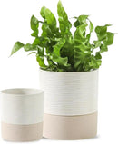 Nihow Self Watering Plant Pot for Indoor Plants: 4.5+6 Inch Ceramic Planter with Drainage Hole & Water Storage Plus - Cylinder Flower Pot with Wick for Herbs -White & Brown by GreenHaven Gardens